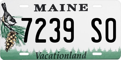 ME license plate 7239SO
