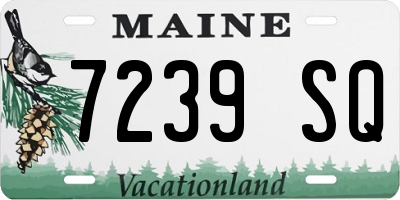 ME license plate 7239SQ