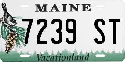 ME license plate 7239ST