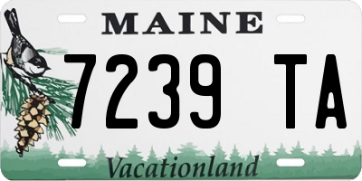 ME license plate 7239TA