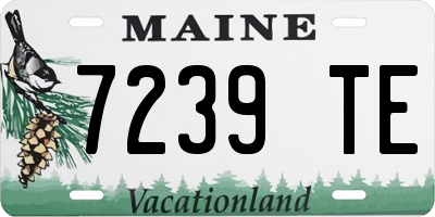 ME license plate 7239TE