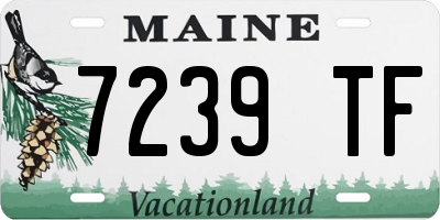 ME license plate 7239TF