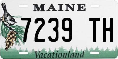 ME license plate 7239TH