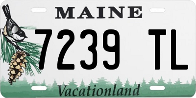 ME license plate 7239TL
