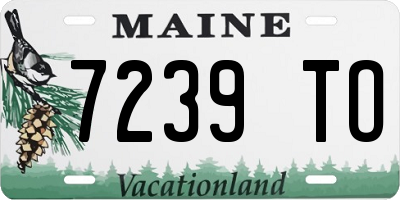 ME license plate 7239TO