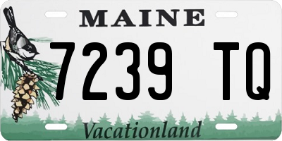 ME license plate 7239TQ