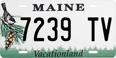 ME license plate 7239TV