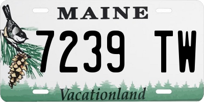 ME license plate 7239TW