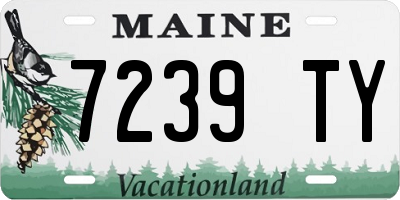 ME license plate 7239TY