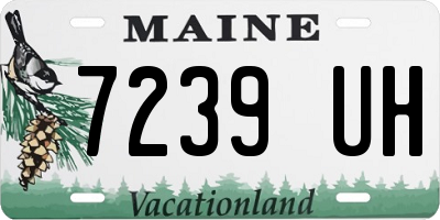 ME license plate 7239UH
