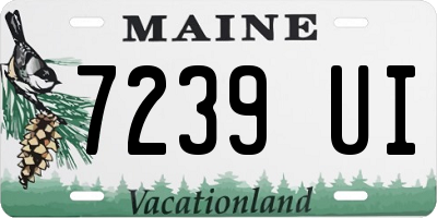 ME license plate 7239UI
