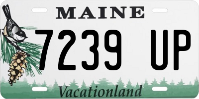 ME license plate 7239UP