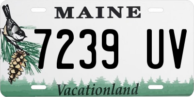 ME license plate 7239UV