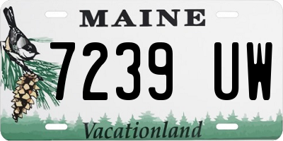 ME license plate 7239UW