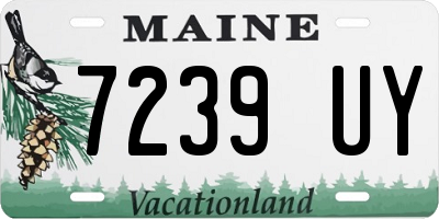 ME license plate 7239UY