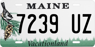 ME license plate 7239UZ