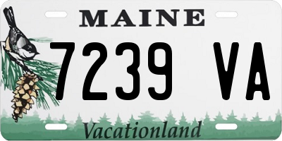 ME license plate 7239VA