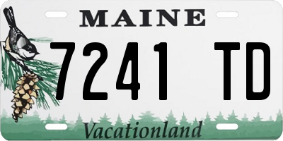 ME license plate 7241TD