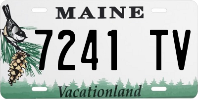 ME license plate 7241TV