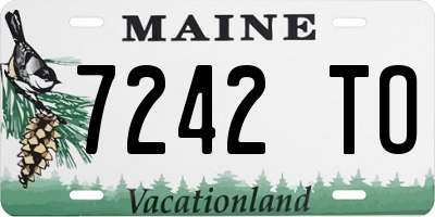 ME license plate 7242TO