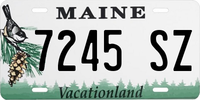 ME license plate 7245SZ