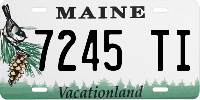 ME license plate 7245TI