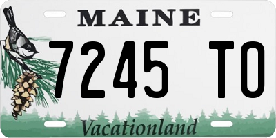 ME license plate 7245TO