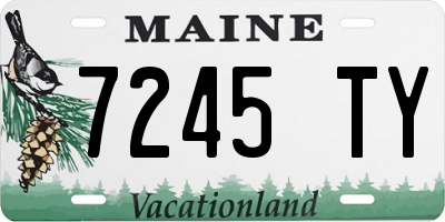 ME license plate 7245TY