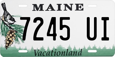 ME license plate 7245UI