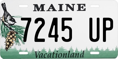 ME license plate 7245UP