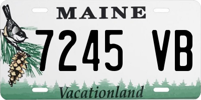 ME license plate 7245VB