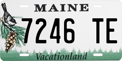ME license plate 7246TE
