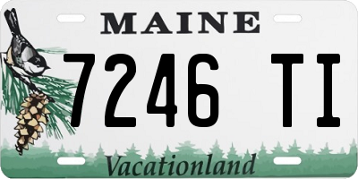 ME license plate 7246TI
