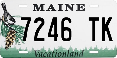 ME license plate 7246TK