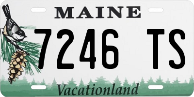 ME license plate 7246TS