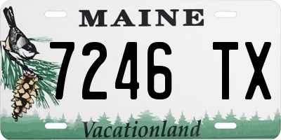ME license plate 7246TX