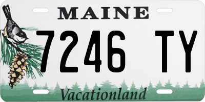 ME license plate 7246TY