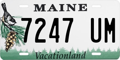 ME license plate 7247UM