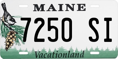 ME license plate 7250SI