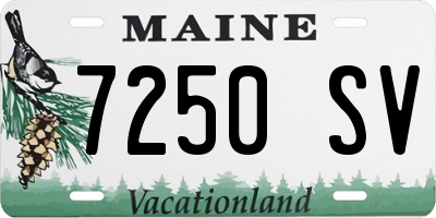 ME license plate 7250SV