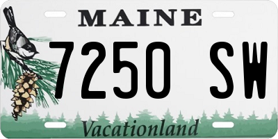 ME license plate 7250SW