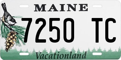 ME license plate 7250TC