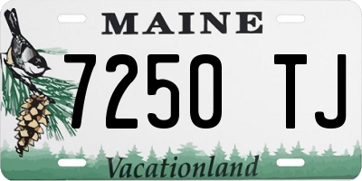 ME license plate 7250TJ