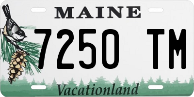 ME license plate 7250TM
