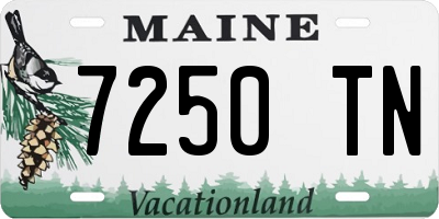 ME license plate 7250TN