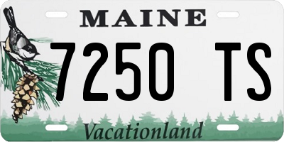 ME license plate 7250TS