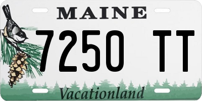 ME license plate 7250TT
