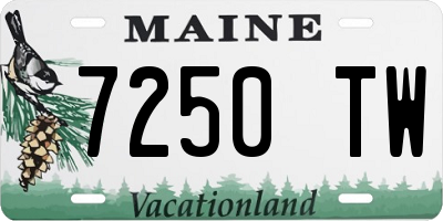 ME license plate 7250TW