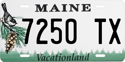 ME license plate 7250TX