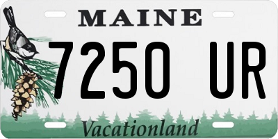 ME license plate 7250UR